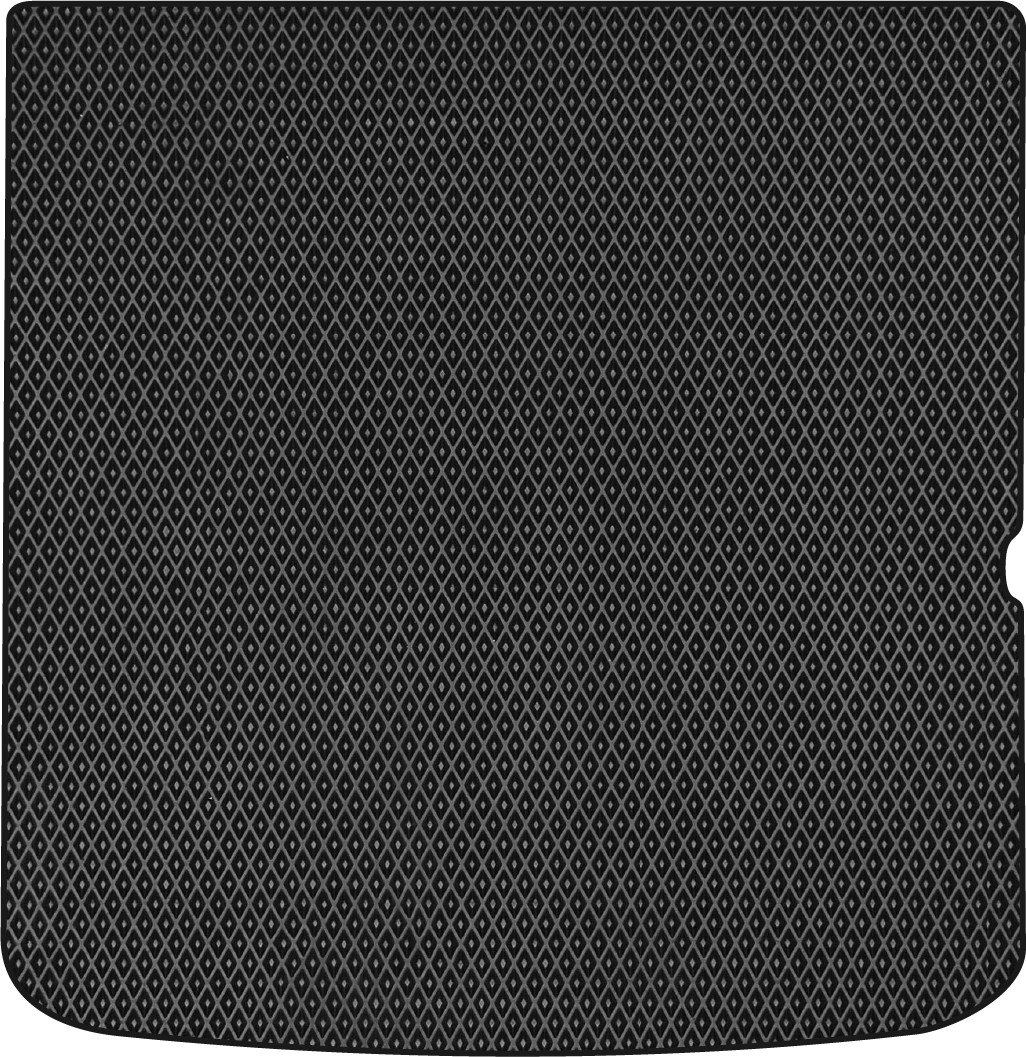 dodge Journey (1 clip)